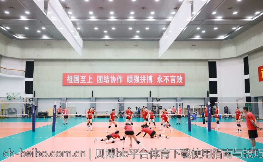 贝博bb平台体育下载使用指南与技巧分享