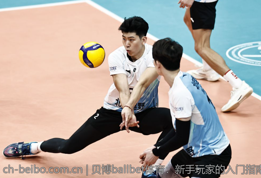 贝博ballbet体育：新手玩家的入门指南